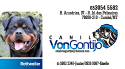 Canil von Gontijo-Rottweiler-